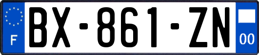 BX-861-ZN