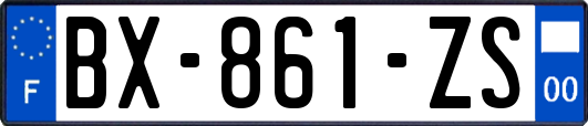 BX-861-ZS