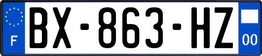 BX-863-HZ