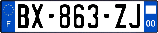 BX-863-ZJ