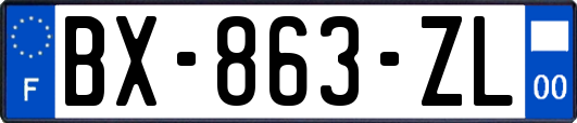 BX-863-ZL