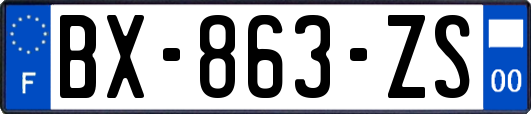 BX-863-ZS