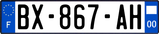 BX-867-AH