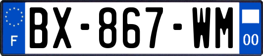 BX-867-WM