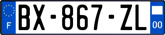 BX-867-ZL