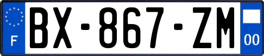 BX-867-ZM