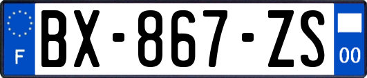 BX-867-ZS