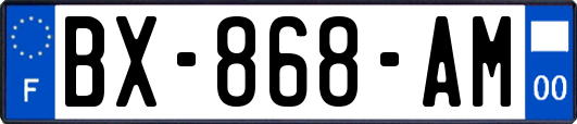 BX-868-AM