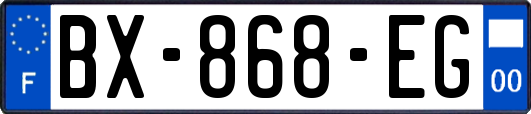 BX-868-EG