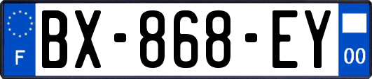 BX-868-EY