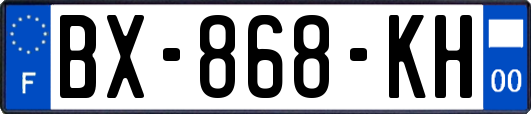 BX-868-KH