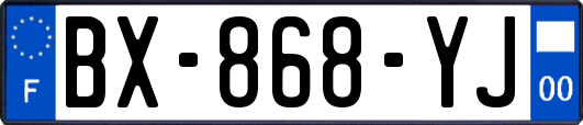 BX-868-YJ