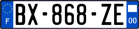 BX-868-ZE