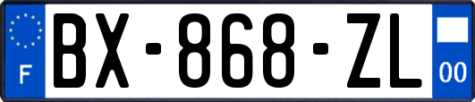 BX-868-ZL