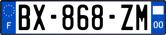 BX-868-ZM