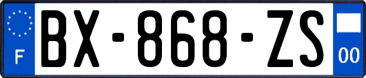 BX-868-ZS
