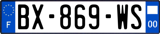 BX-869-WS