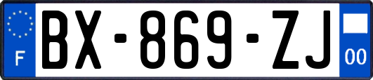 BX-869-ZJ