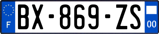 BX-869-ZS