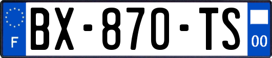 BX-870-TS