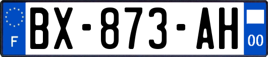 BX-873-AH