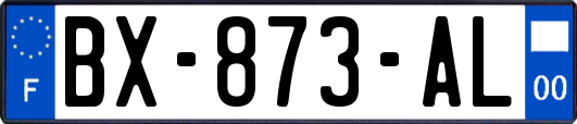 BX-873-AL