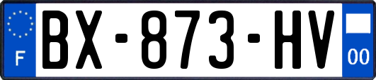 BX-873-HV