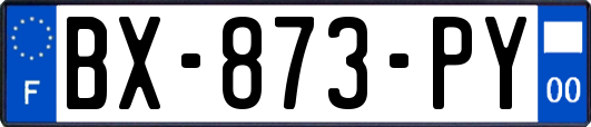 BX-873-PY