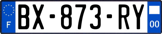 BX-873-RY