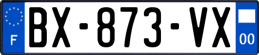 BX-873-VX