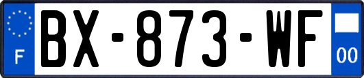 BX-873-WF