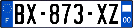 BX-873-XZ