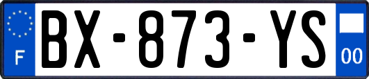 BX-873-YS