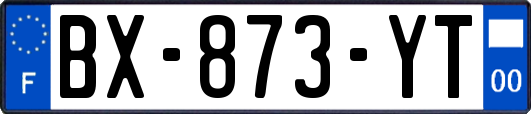 BX-873-YT