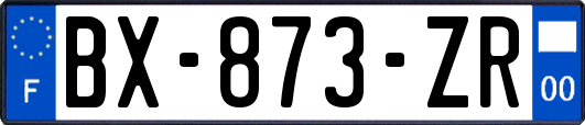 BX-873-ZR