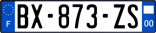 BX-873-ZS