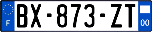 BX-873-ZT