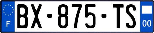 BX-875-TS