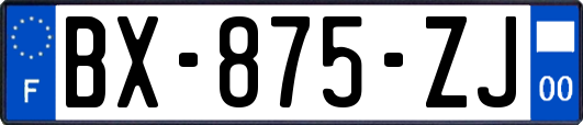 BX-875-ZJ