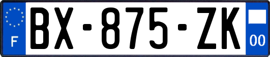 BX-875-ZK