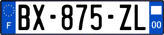 BX-875-ZL