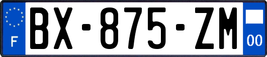 BX-875-ZM