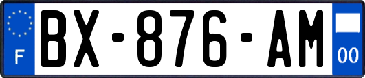 BX-876-AM