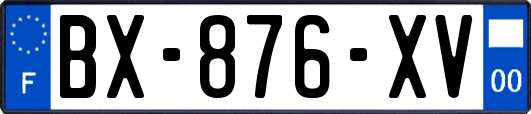 BX-876-XV