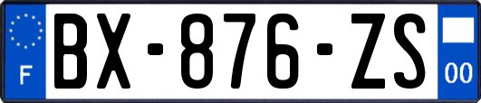 BX-876-ZS