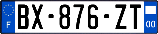 BX-876-ZT