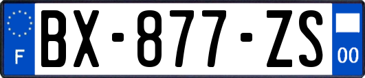 BX-877-ZS