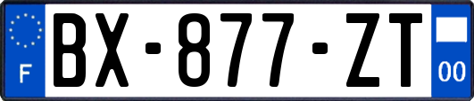 BX-877-ZT