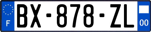 BX-878-ZL