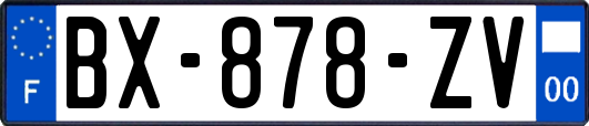 BX-878-ZV